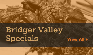 Bridger Valley Specials